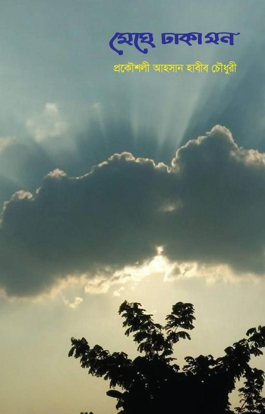 মেঘে ঢাকা মন
